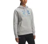Under Armour Women's Rival Fleece Shimmer Hoodie In Gray