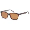 Under Armour Women's Sunglasses In Brown