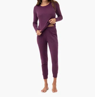 Under The Canopy Organic Tapered Jogger In Grape In Purple