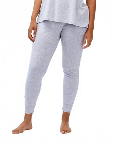 Under The Canopy Organic Tapered Jogger In Light Gray In Multi