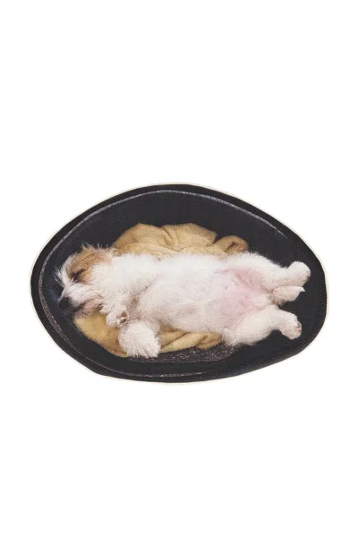 Undercover Dog Pouch In Black
