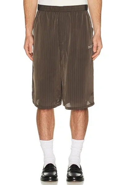 Undercover Shorts In Brown