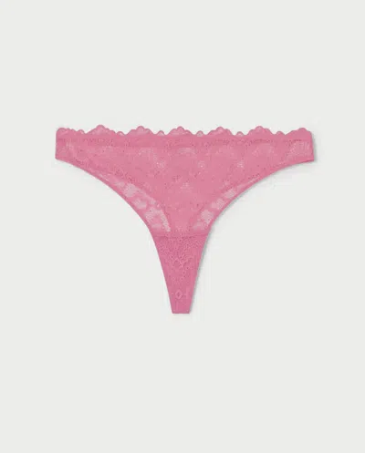 Understatement Lace Thong Candy Pink