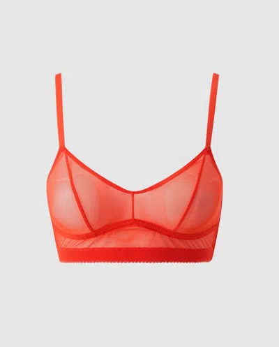 Understatement Mesh Balconette Fiery Red