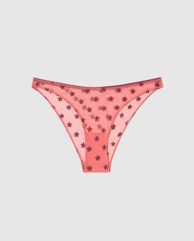 Understatement | Mesh Bikini Briefs - Coral/cherry | Trouseries