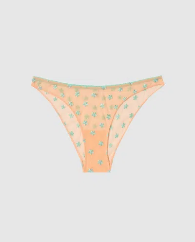 Understatement | Mesh Bikini Briefs - Peach/turquoise | Trouseries
