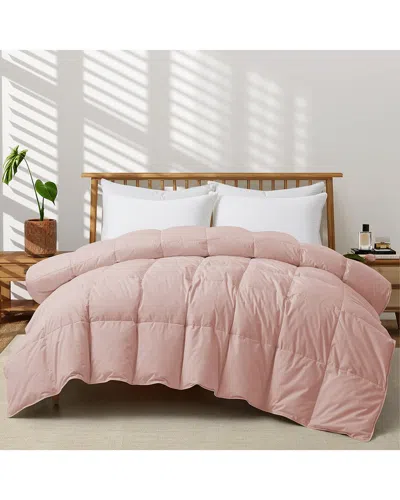 Unikome 300 Thread Count All Season Organic Cotton White Goose Down Comforter In Multi