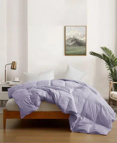 Unikome 300 Thread Count Light Weight Soft Comforter, Full/queen In Purple