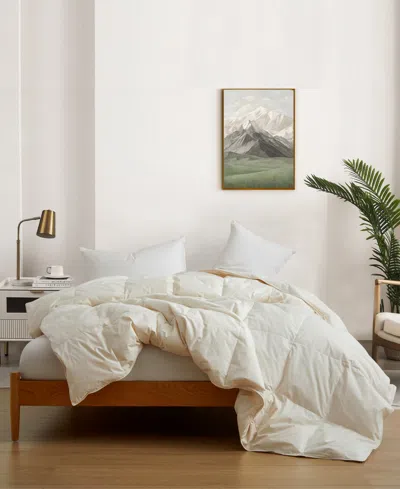 Unikome 300 Thread Count Light Weight Soft Comforter, Full/queen In White