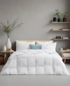 Unikome 75 Down 25 Feather Comforter In White
