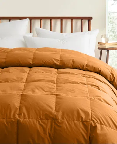 Unikome All Season 300 Thread Count Cotton Goose Down Fiber Comforter, California King In Tan