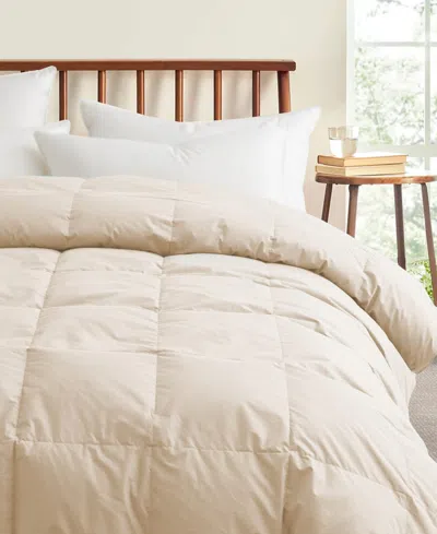 Unikome Cotton All Season Goose Feather Down Comforter, Full/queen In Off White