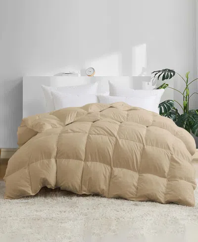 Unikome Heavyweight Goose Down Feather Comforter, Full/queen In Brown
