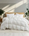 Unikome Heavyweight Goose Down Fiber Comforter In Brown