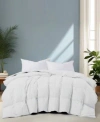Unikome Noiseless Lightweight Goose Feather Down Comforter In Gray