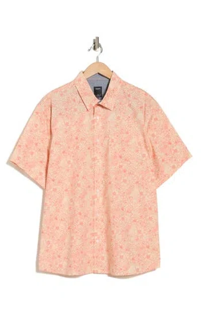 Union Yolo Medallion Print Short Sleeve Relaxed Fit Shirt In Pink