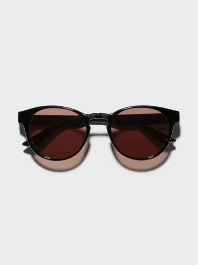Uniqlo Men's Boston Sunglasses, Dark Brown