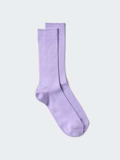 Uniqlo Men's Colorful 50 Socks With Deodorizing Light Purple Us8-us11  Us