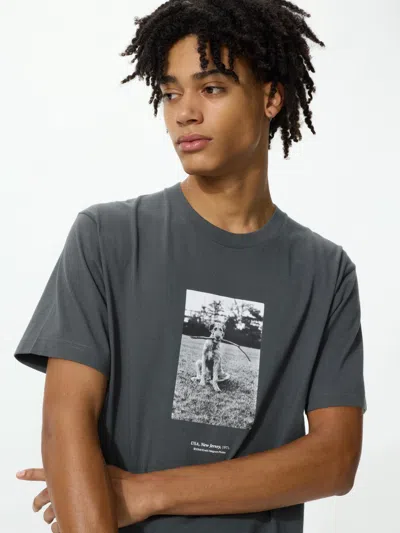 Uniqlo Men's Elliott Erwitt Ut Graphic T-shirt Dark Gray Xl  Us In Gold