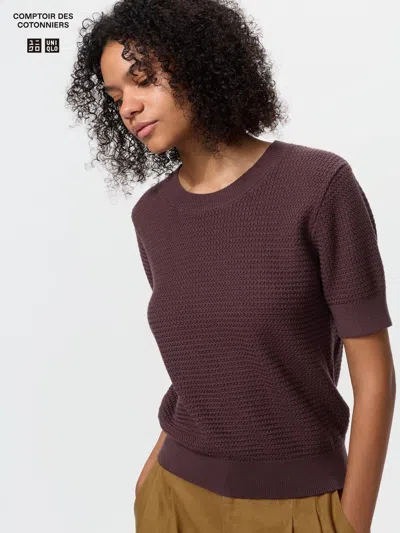 Uniqlo Women's Cotton Short Sleeve Sweater Wine Medium  Us In Burgundy