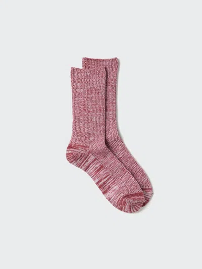 Uniqlo Women's Heattech Socks Mix Yarn With Odor Control, Red, Us W 7.5-10 In Pink