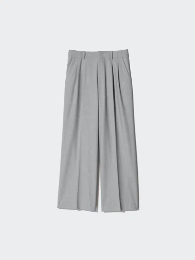 Uniqlo Women's Smart Wide Straight Pants, Gray, 2xl