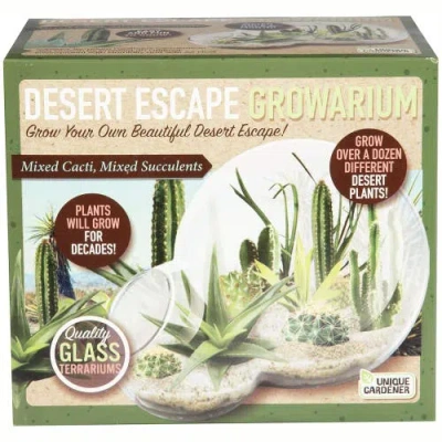 Unique Gardener Desert Escape Growarium Diy Cactus & Succulent Terrarium Kit In Green