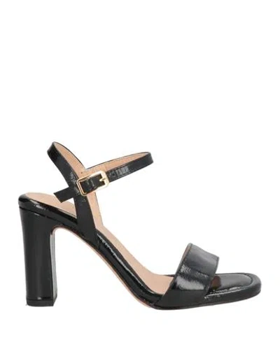 Unisa Woman Sandals Black Size 6 Leather