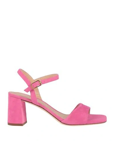 Unisa Woman Sandals Fuchsia Size 8 Leather In Pink