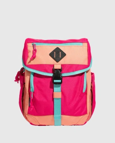 United By Blue (r)evolution 9l Sidekick