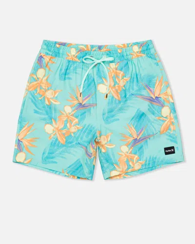 United Legwear Men's Cannonball Volley Boardshort 17" In Tropical Mist 2