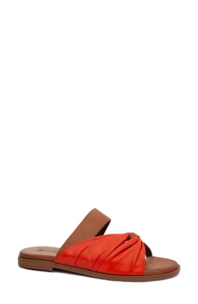 Unity In Diversity Unity In Vibrant Orange/cuoio