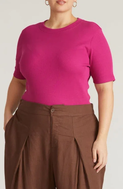 Universal Standard Classic Rib Short Sleeve Top In Pink