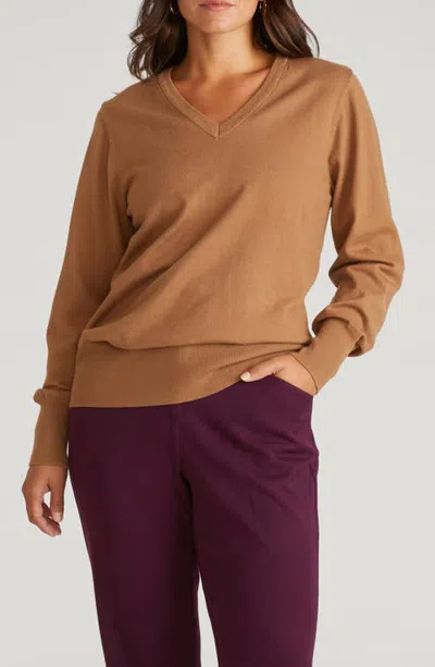 Universal Standard Flora V-neck Sweater In Brown