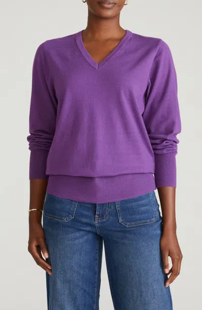 Universal Standard Flora V-neck Sweater In Purple