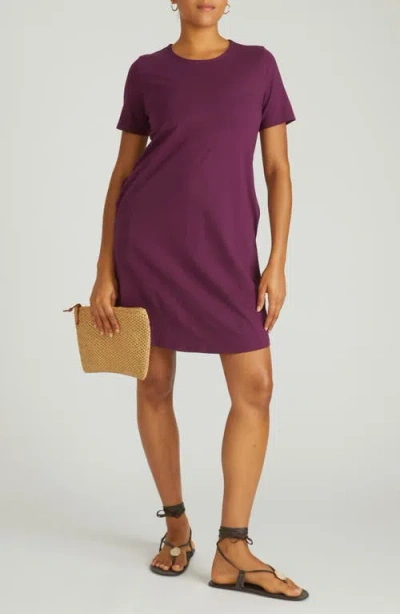 Universal Standard Halie T-shirt Dress In Purple