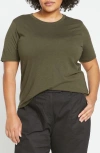 Universal Standard Light As Air Tee Rex T-shirt In Nori