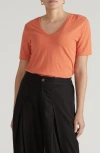 Universal Standard Light As Air V-rex T-shirt In Orange