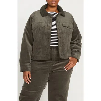 Universal Standard Parker Teddy Lined Stretch Corduroy Jacket In Nori