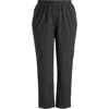 Universal Standard The Pinstripe High Waist Pants In Graphite