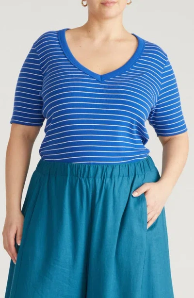 Universal Standard V-neck Elbow Sleeve Cotton T-shirt In Multi
