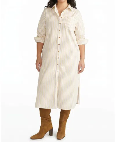 Universal Standard Women's Plus Odeon Stretch Poplin Shirtdress In Yellow Multi Stripe