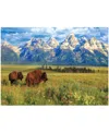 University Games Incorporated Steve Hinch Grand Teton National Park, Wyoming, Usa Jigsaw Puzzle, 1000 Pieces In No Color
