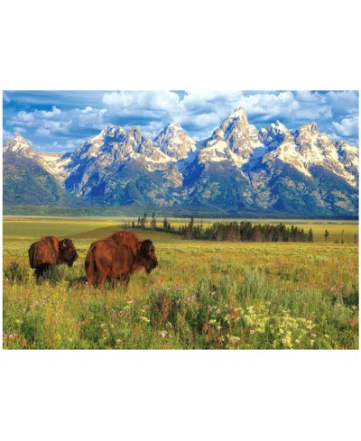 University Games Kids' Incorporated Steve Hinch Grand Teton National Park, Wyoming, Usa Jigsaw Puzzle, 1000 Pieces In No Color