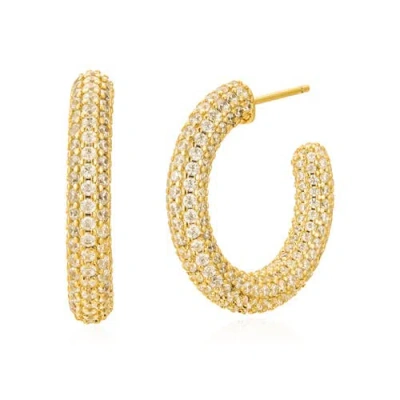 Untamed Petals Alex Crystal Hoops In Gold