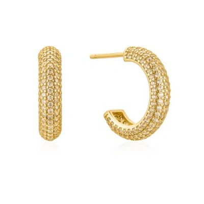 Untamed Petals Brookes Crystal Hoops In Gold
