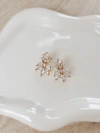 Untamed Petals Carla Crystal Stud Earrings In Gold
