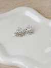 Untamed Petals Daisy Crystal Studs In Silver