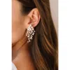 Untamed Petals Moore Freshwater Pearl Earrings In Gold