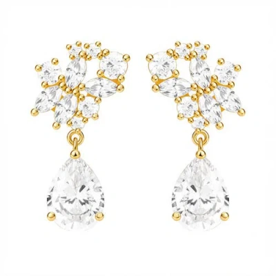 Untamed Petals Starlight Drop Earrings In Transparent